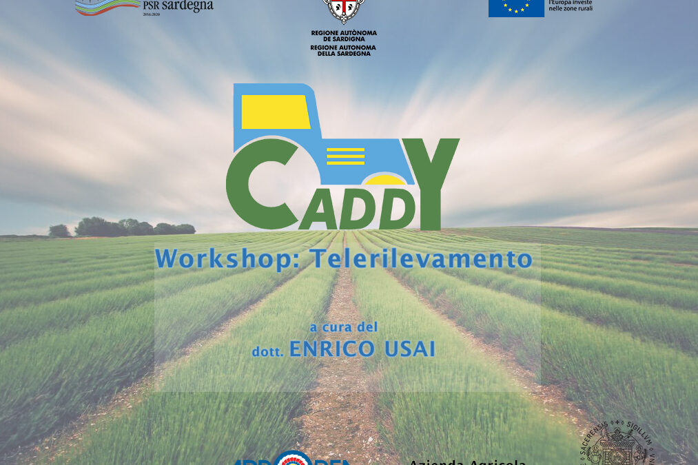 Nuovo Workshop Online: “Telerilevamento” con il Dott. Enrico Usai