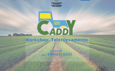 Nuovo Workshop Online: “Telerilevamento” con il Dott. Enrico Usai